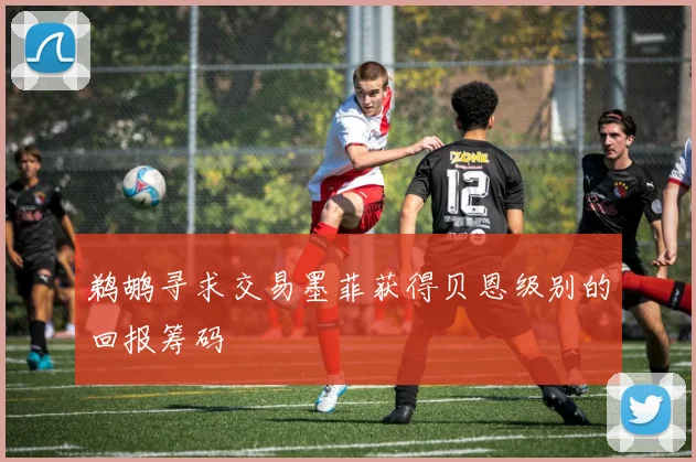 鹈鹕寻求交易墨菲获得贝恩级别的回报筹码