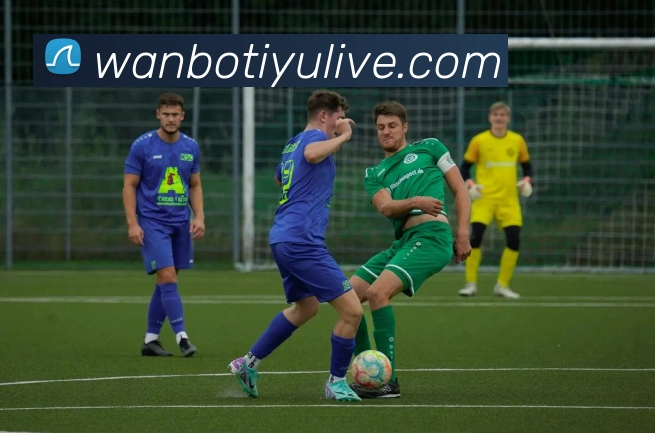 万博体育APP 封面图